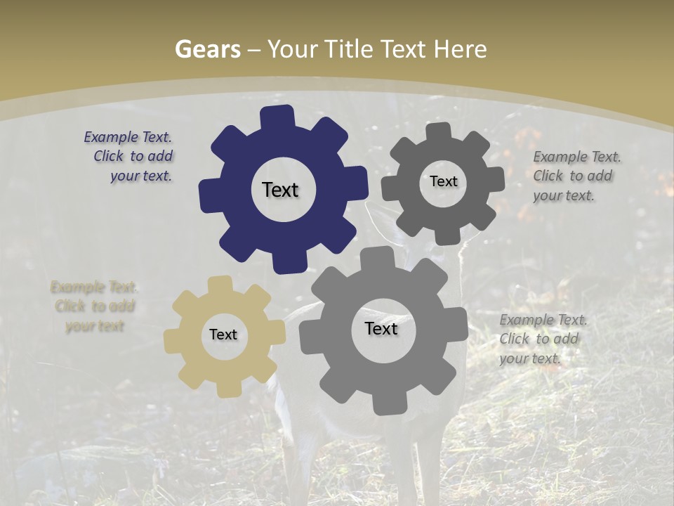 Autumn Wildlife Fall PowerPoint Template