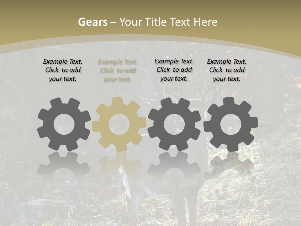 Autumn Wildlife Fall PowerPoint Template