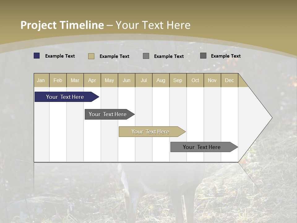 Autumn Wildlife Fall PowerPoint Template