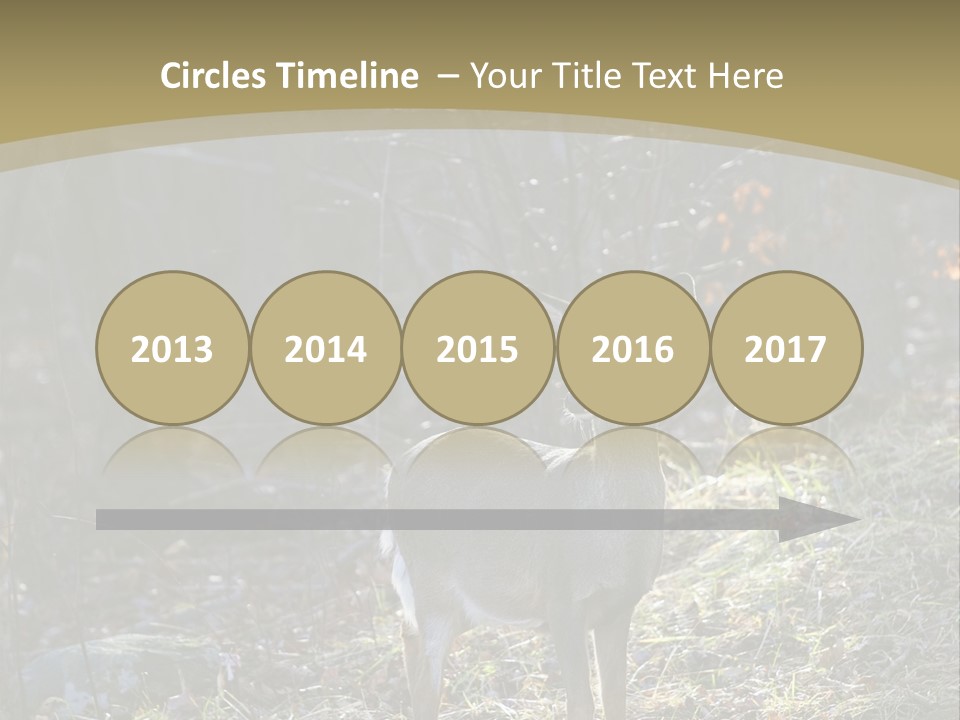 Autumn Wildlife Fall PowerPoint Template