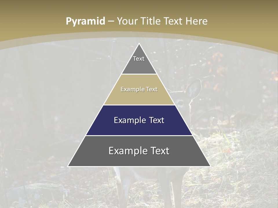 Autumn Wildlife Fall PowerPoint Template