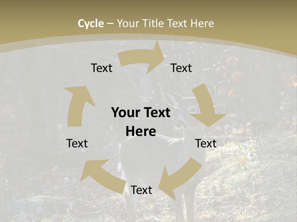 Autumn Wildlife Fall PowerPoint Template