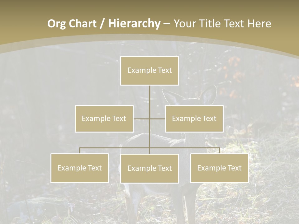 Autumn Wildlife Fall PowerPoint Template