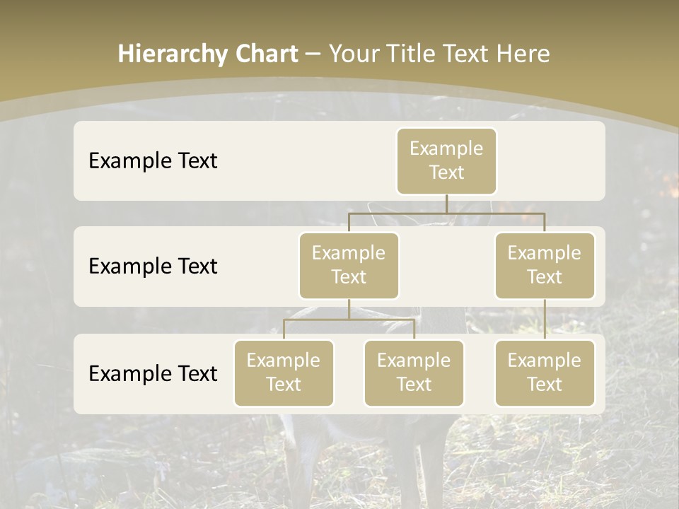Autumn Wildlife Fall PowerPoint Template