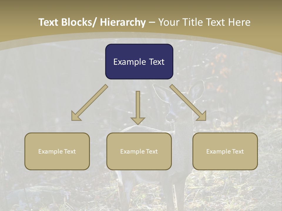 Autumn Wildlife Fall PowerPoint Template