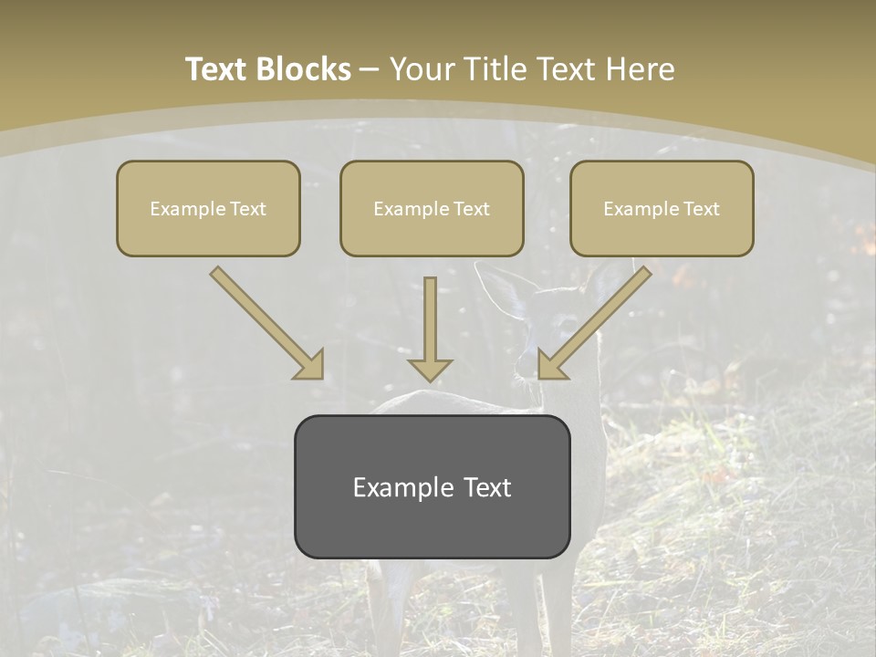 Autumn Wildlife Fall PowerPoint Template
