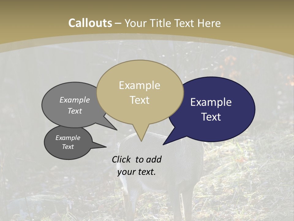 Autumn Wildlife Fall PowerPoint Template