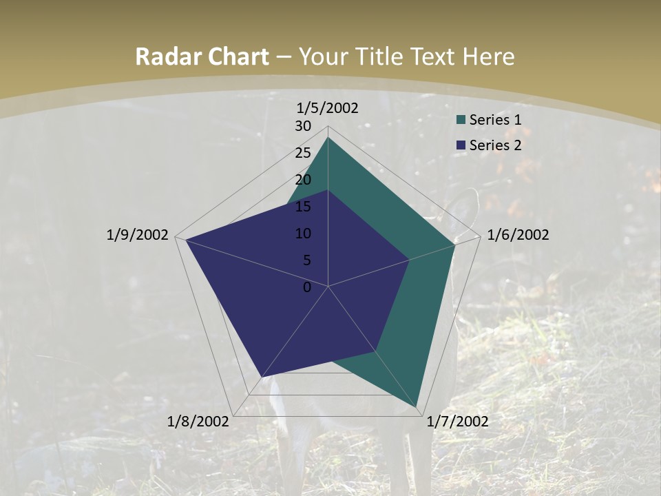 Autumn Wildlife Fall PowerPoint Template