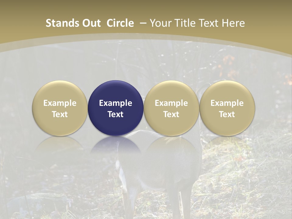 Autumn Wildlife Fall PowerPoint Template