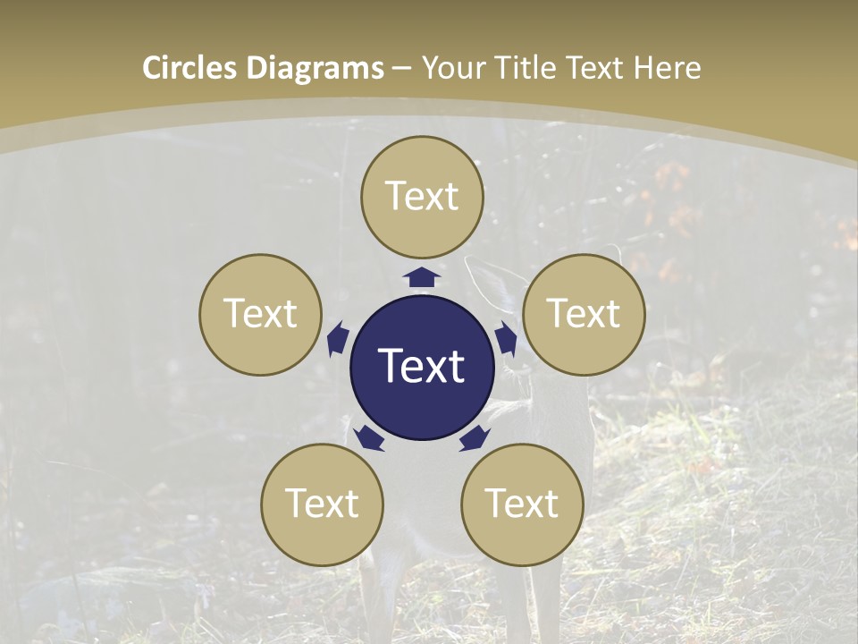 Autumn Wildlife Fall PowerPoint Template