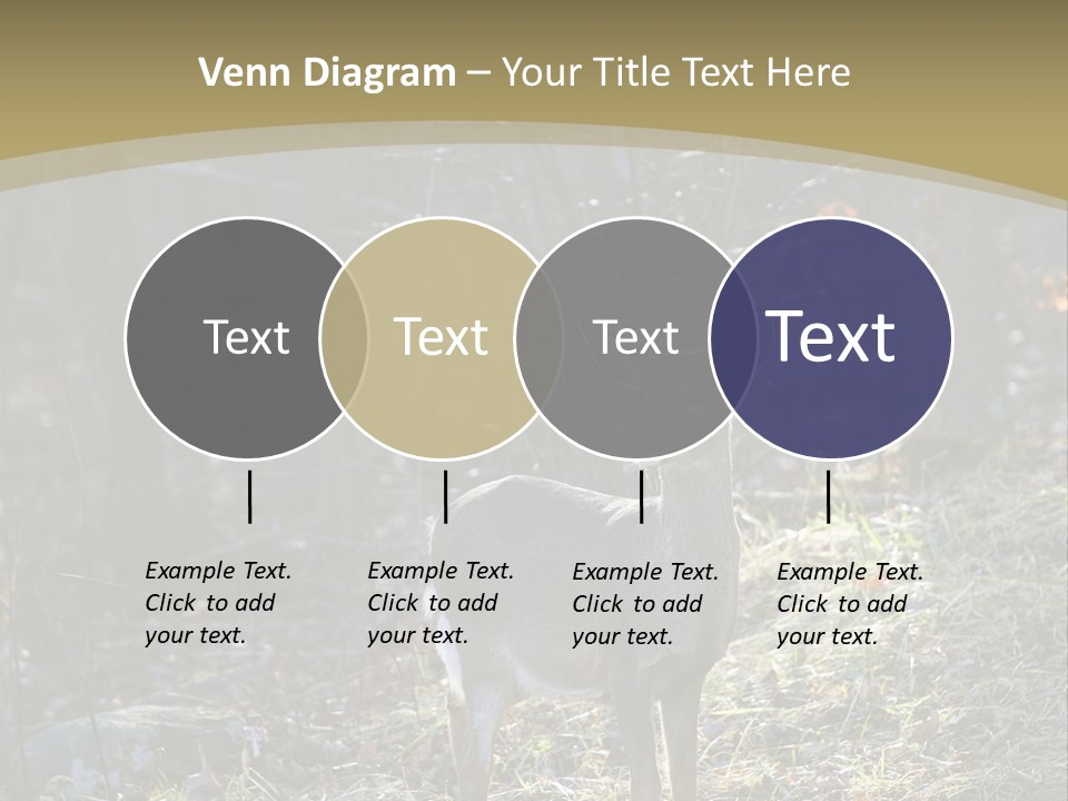 Autumn Wildlife Fall PowerPoint Template