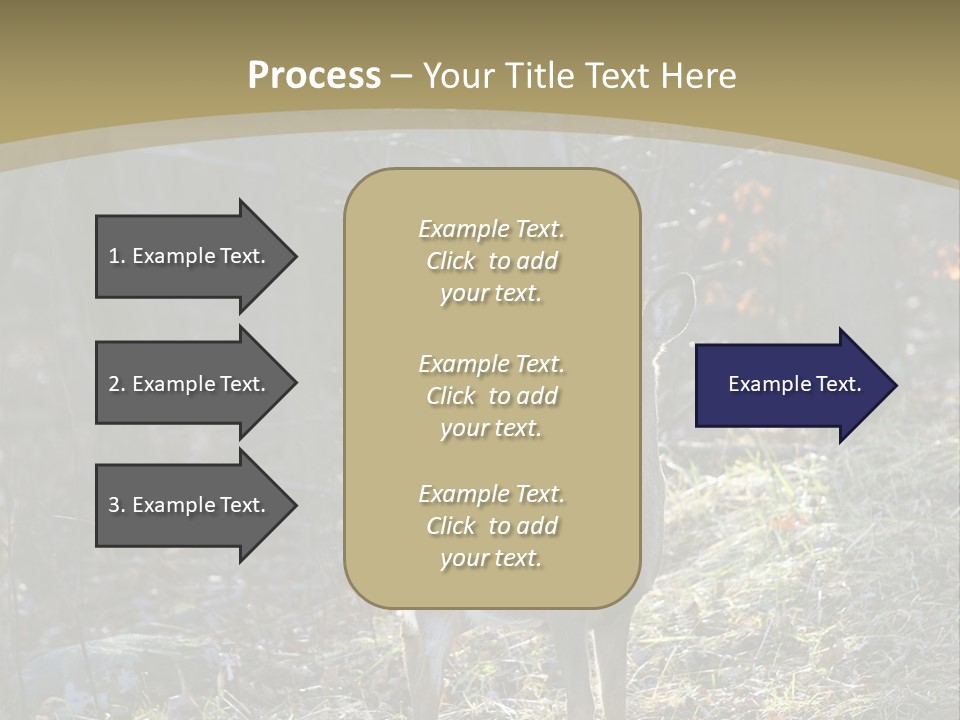 Autumn Wildlife Fall PowerPoint Template