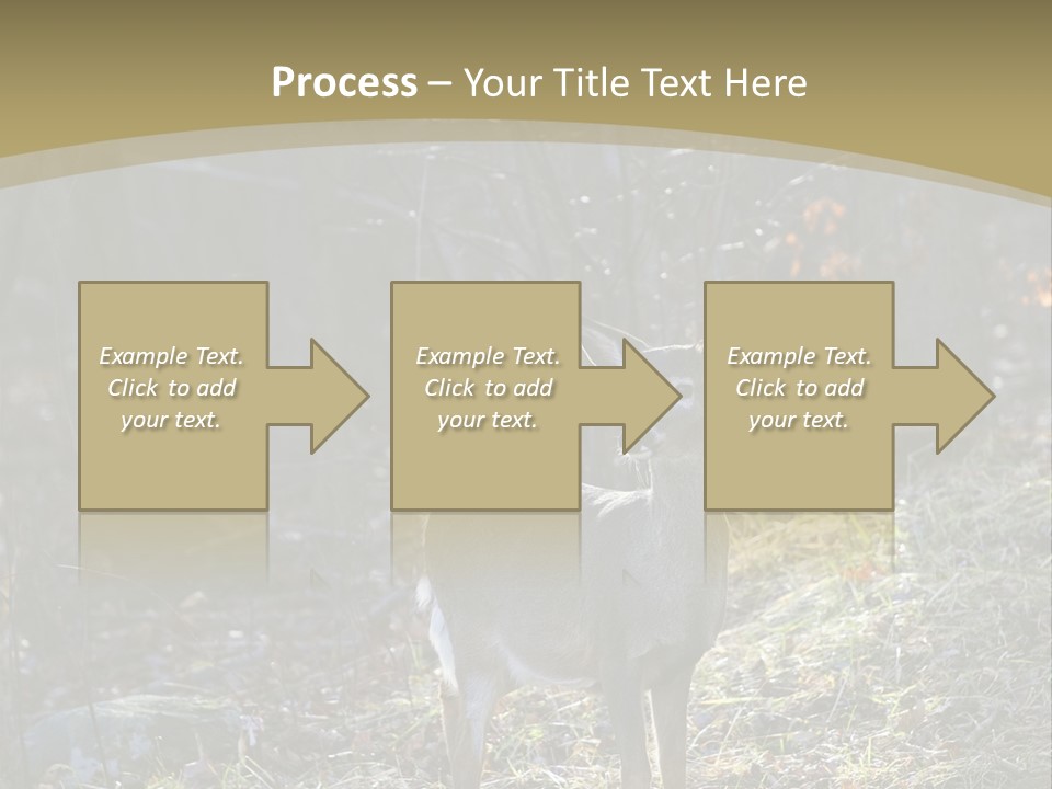 Autumn Wildlife Fall PowerPoint Template