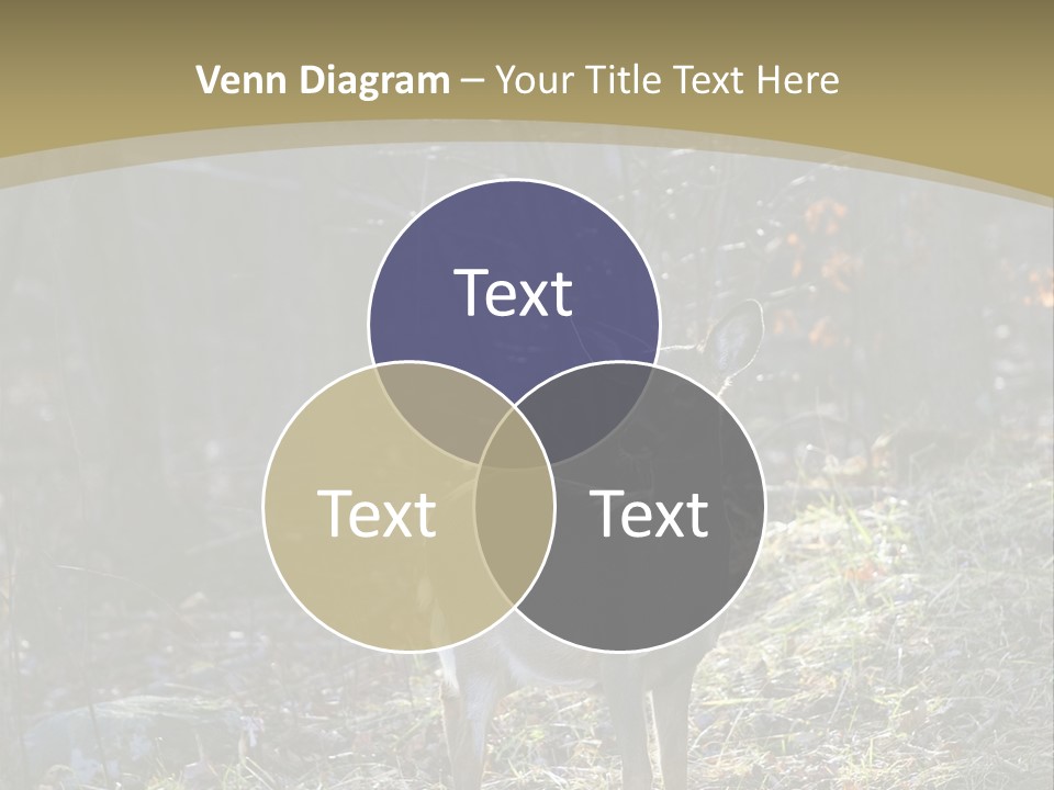 Autumn Wildlife Fall PowerPoint Template