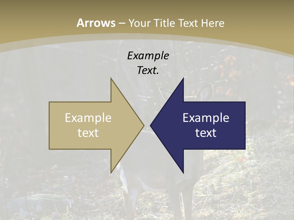 Autumn Wildlife Fall PowerPoint Template