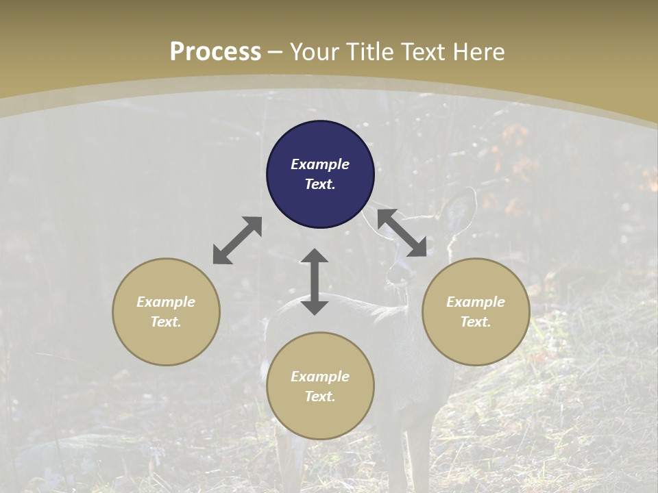 Autumn Wildlife Fall PowerPoint Template