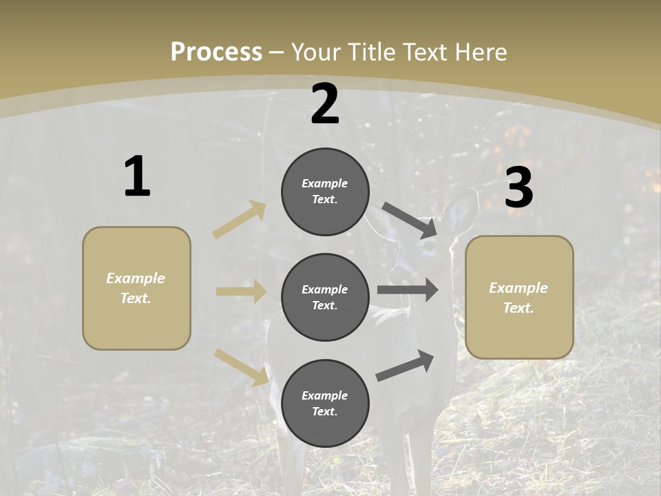 Autumn Wildlife Fall PowerPoint Template