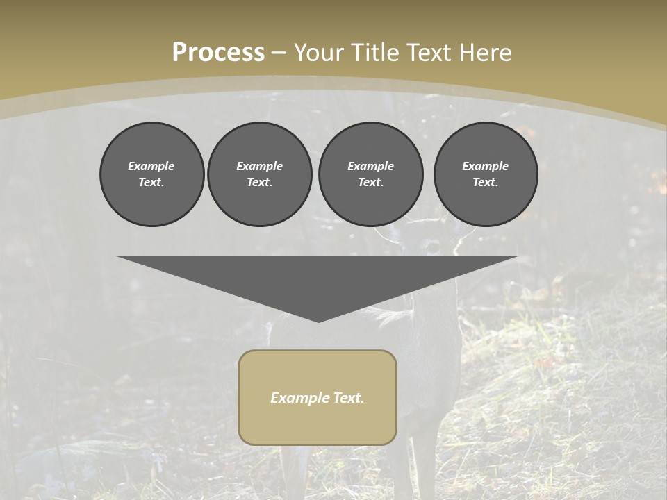 Autumn Wildlife Fall PowerPoint Template