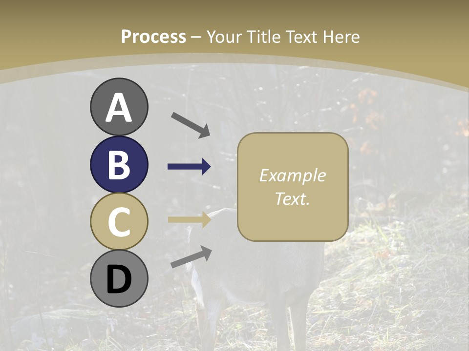 Autumn Wildlife Fall PowerPoint Template