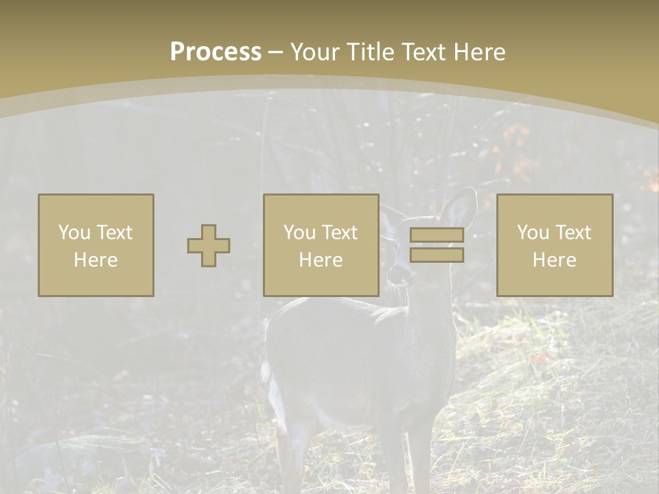 Autumn Wildlife Fall PowerPoint Template