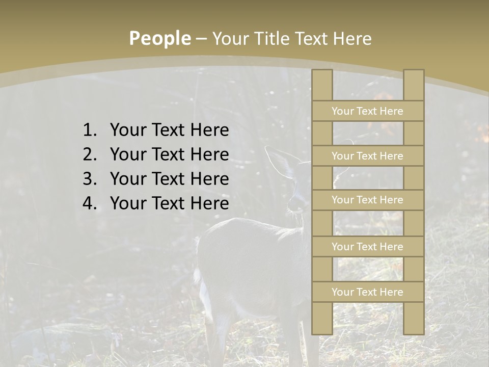 Autumn Wildlife Fall PowerPoint Template