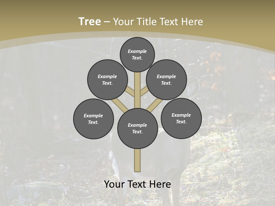 Autumn Wildlife Fall PowerPoint Template