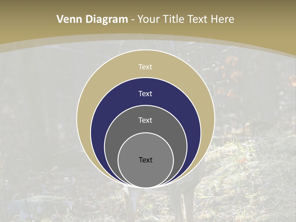 Autumn Wildlife Fall PowerPoint Template