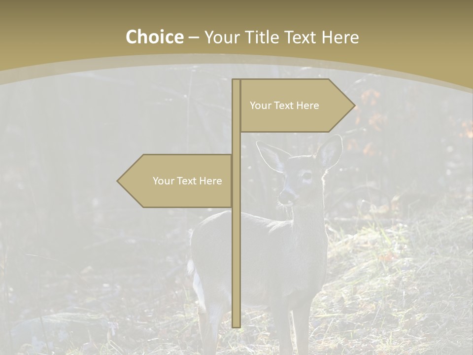 Autumn Wildlife Fall PowerPoint Template