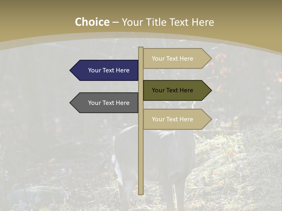 Autumn Wildlife Fall PowerPoint Template