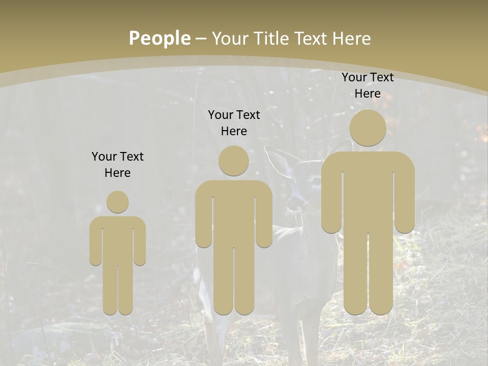 Autumn Wildlife Fall PowerPoint Template