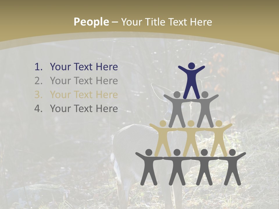 Autumn Wildlife Fall PowerPoint Template