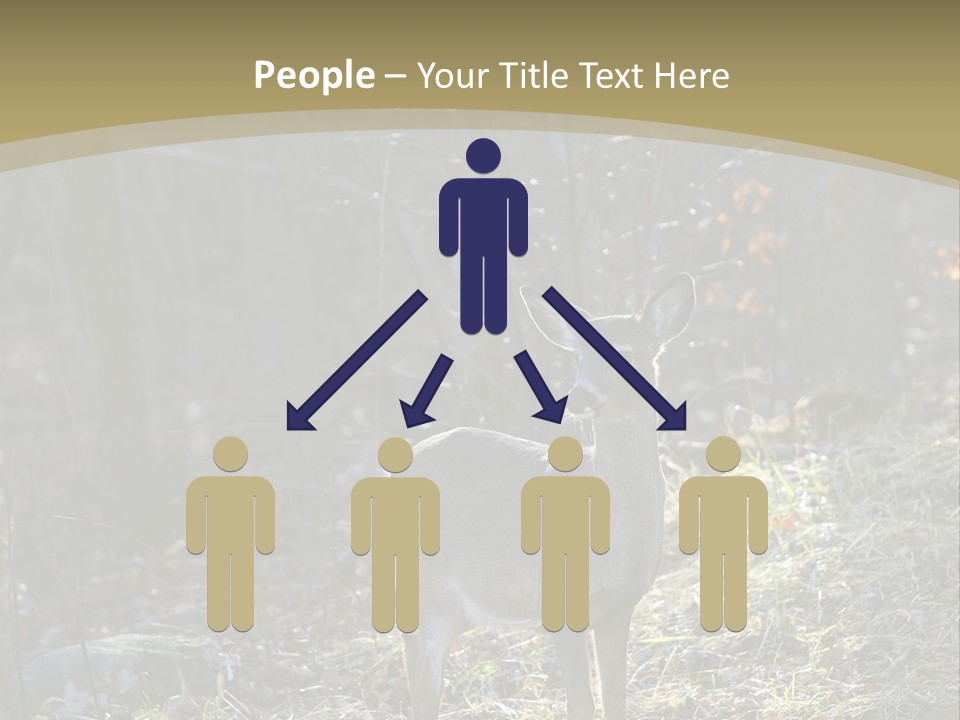 Autumn Wildlife Fall PowerPoint Template