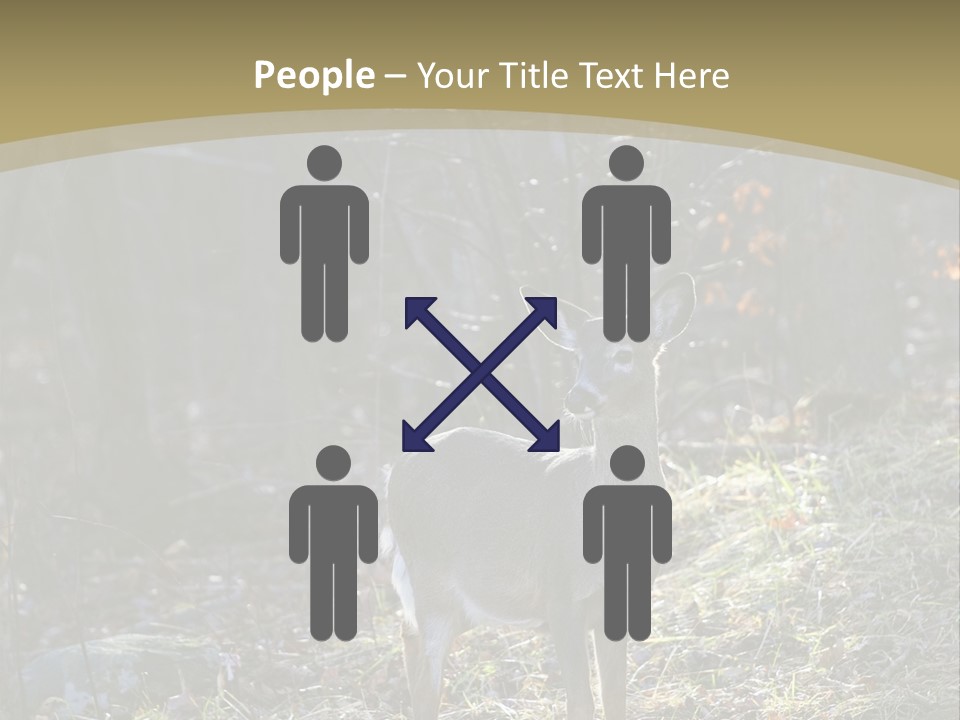 Autumn Wildlife Fall PowerPoint Template