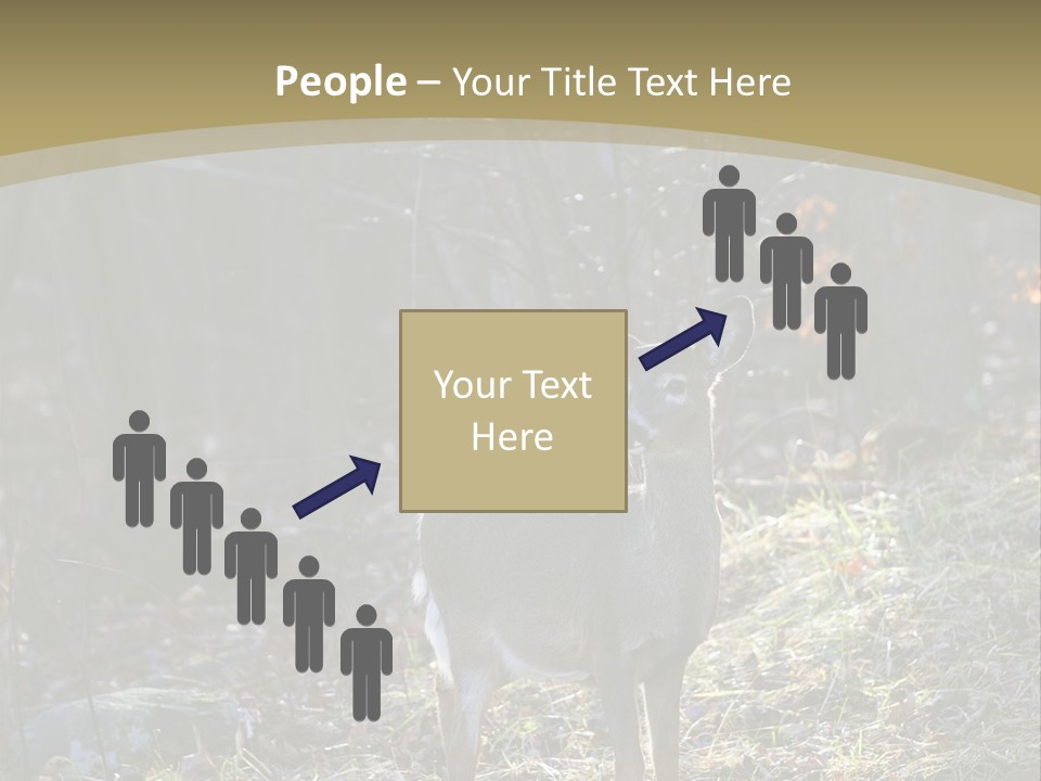 Autumn Wildlife Fall PowerPoint Template