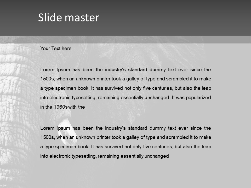 Large Face Skinned PowerPoint Template