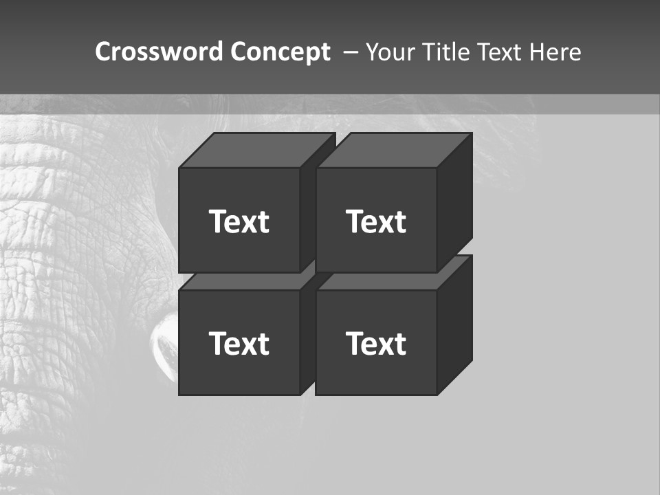 Large Face Skinned PowerPoint Template