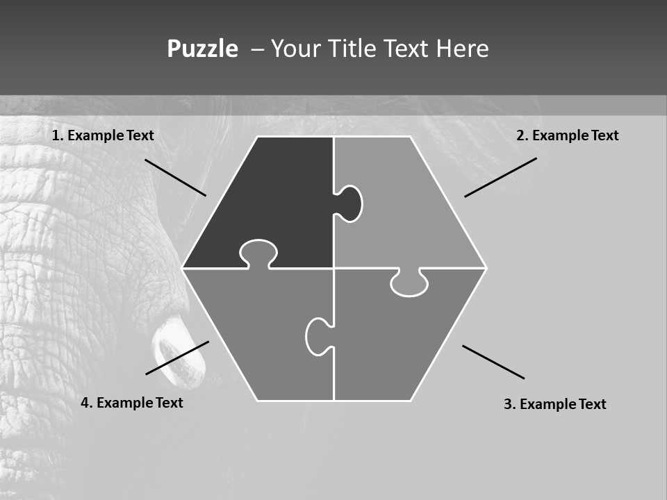 Large Face Skinned PowerPoint Template