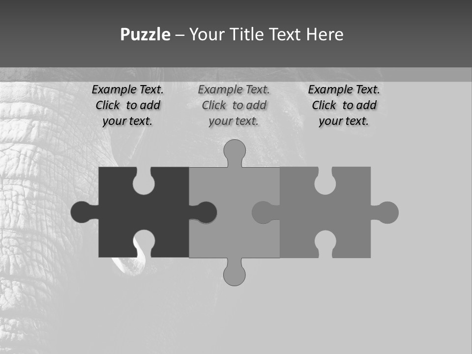 Large Face Skinned PowerPoint Template