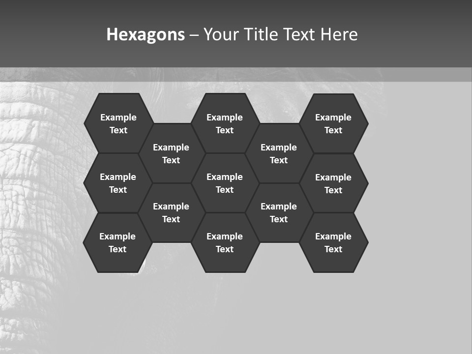 Large Face Skinned PowerPoint Template