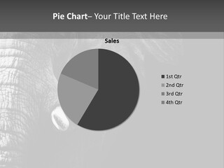 Large Face Skinned PowerPoint Template