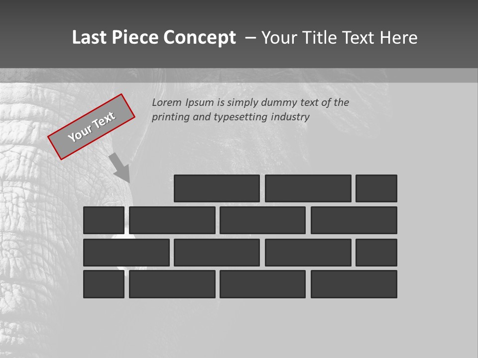 Large Face Skinned PowerPoint Template