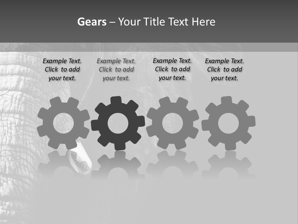 Large Face Skinned PowerPoint Template