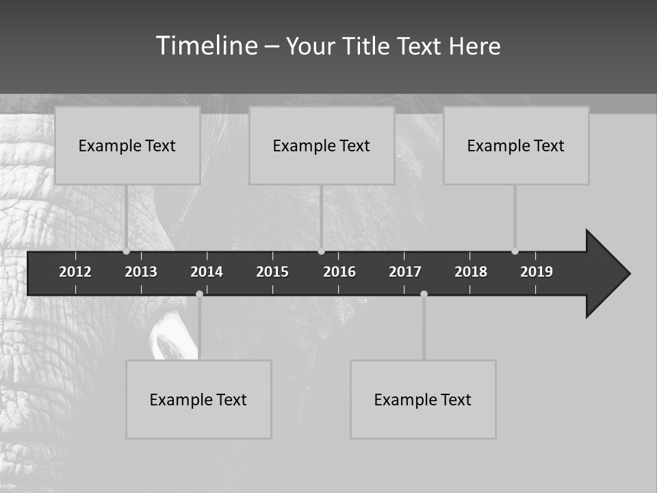 Large Face Skinned PowerPoint Template