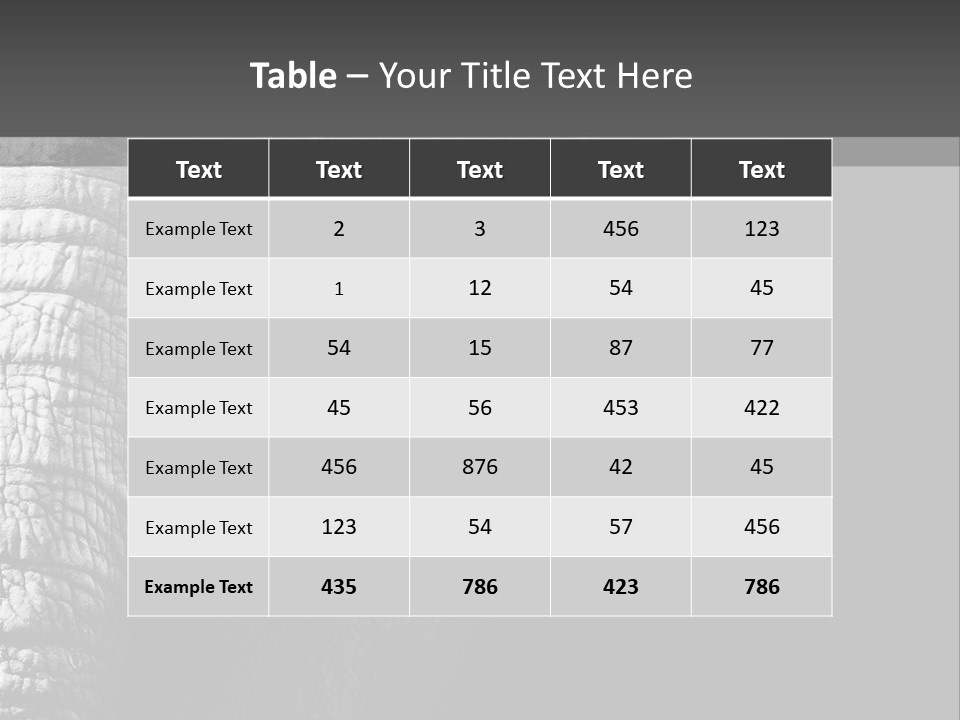 Large Face Skinned PowerPoint Template