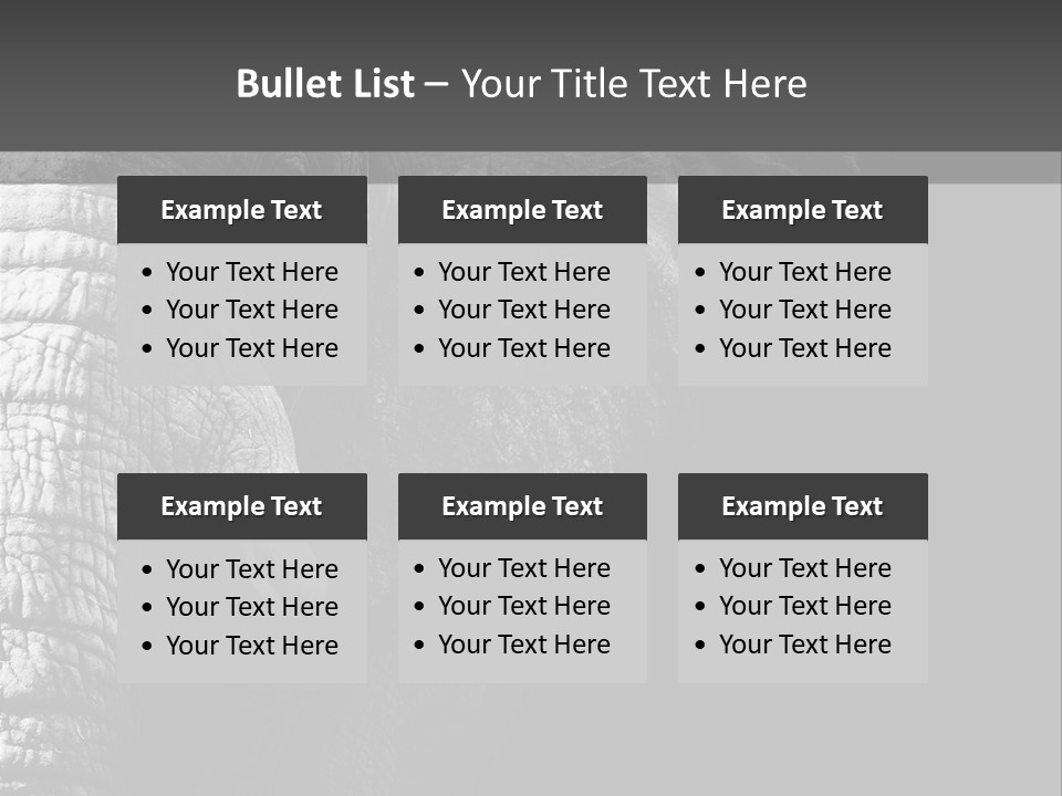 Large Face Skinned PowerPoint Template