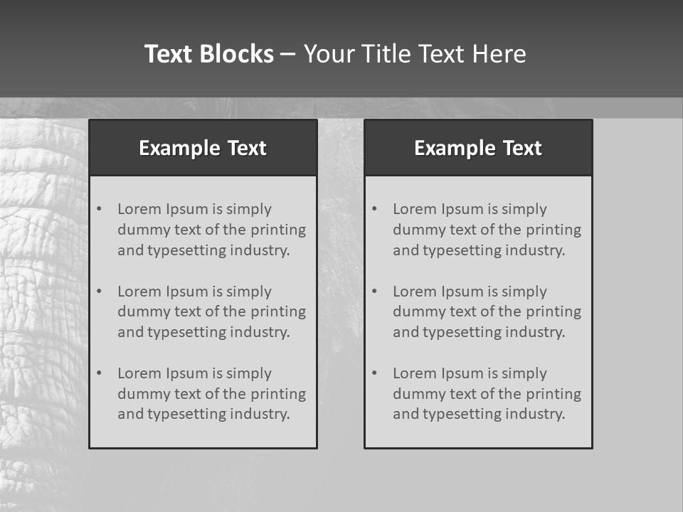 Large Face Skinned PowerPoint Template