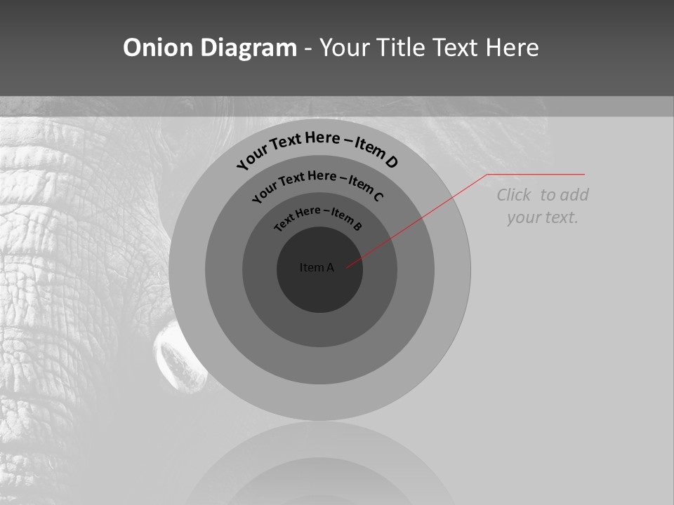 Large Face Skinned PowerPoint Template