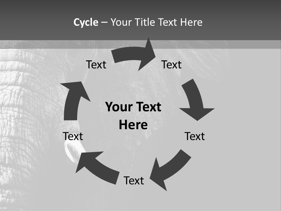 Large Face Skinned PowerPoint Template