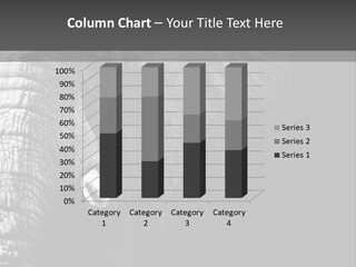 Large Face Skinned PowerPoint Template