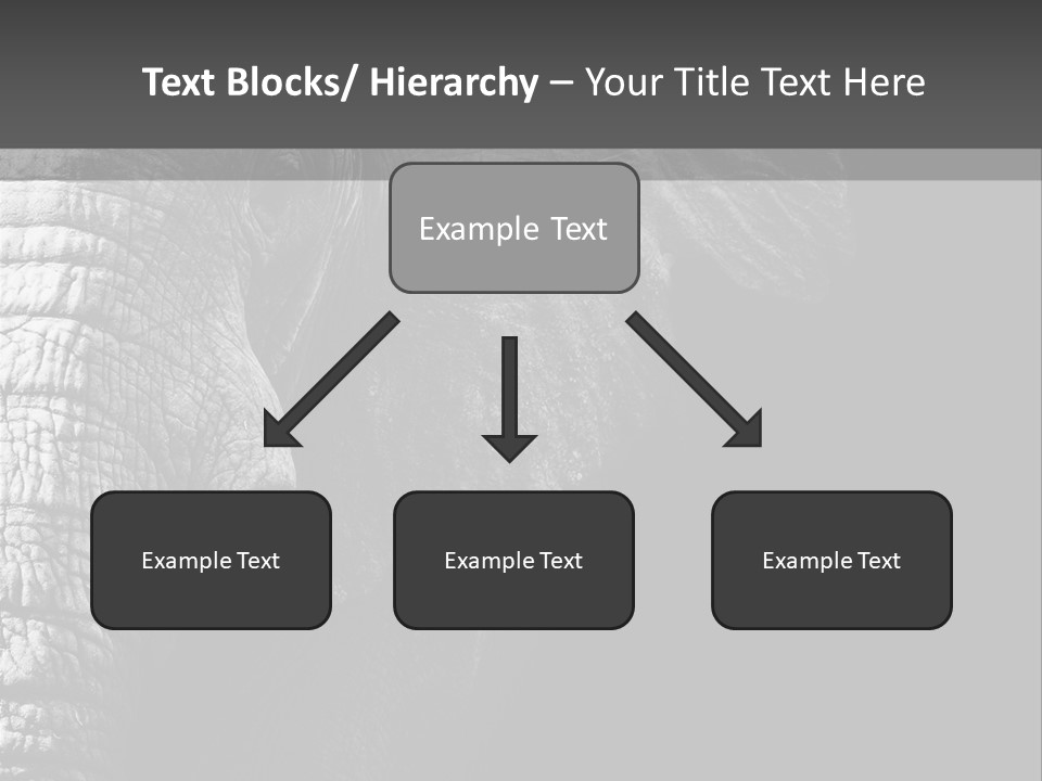 Large Face Skinned PowerPoint Template
